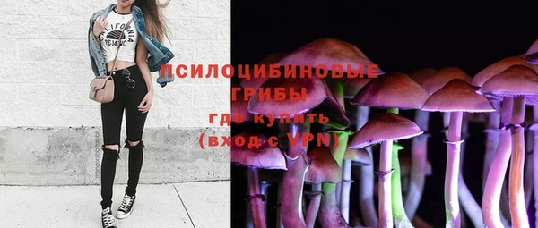 ALPHA-PVP Покров