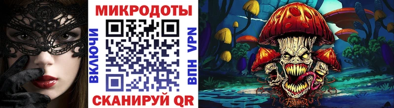 kraken ссылки  Североморск  Псилоцибиновые грибы Psilocybe 