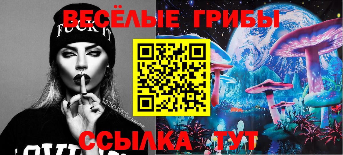Североморск  Псилоцибиновые грибы Cubensis  Вход с VPN  Псилоцибиновые грибы GOLDEN TEACHER 